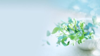 斗式提升机出现的故障及解决方法